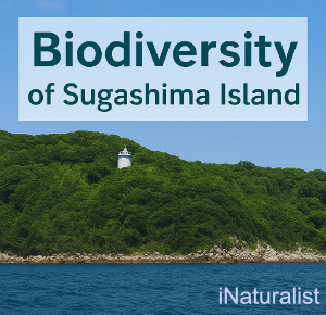 Biodiversity_of_Sugashima_Island