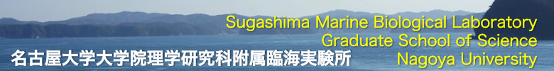 名古屋大学大学院理学研究科附属 菅島臨海実験所