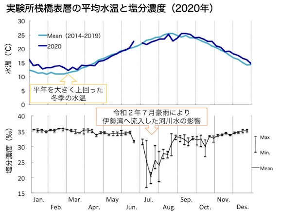 海洋調査