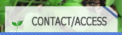 ACCESS