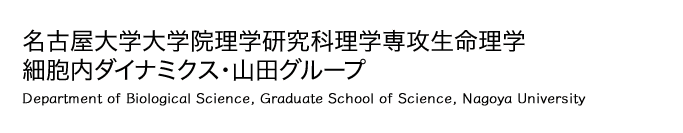 名大理学・山田グループ