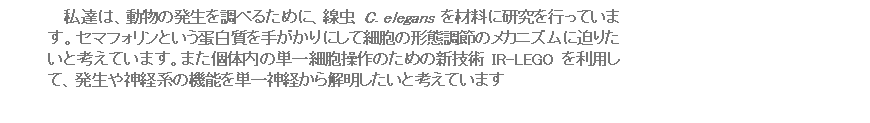 eLXg {bNX: B́A̔𒲂ׂ邽߂ɁAC. elegansޗɌsĂ܂BZ}tHƂ`肪ɂčזĚ`Ԓ߂̃JjYɔ肽ƍlĂ܂B܂̓̒PזÊ߂̐VZpIR-LEGO𗘗pāA_on̋@\P_o𖾂ƍlĂ܂