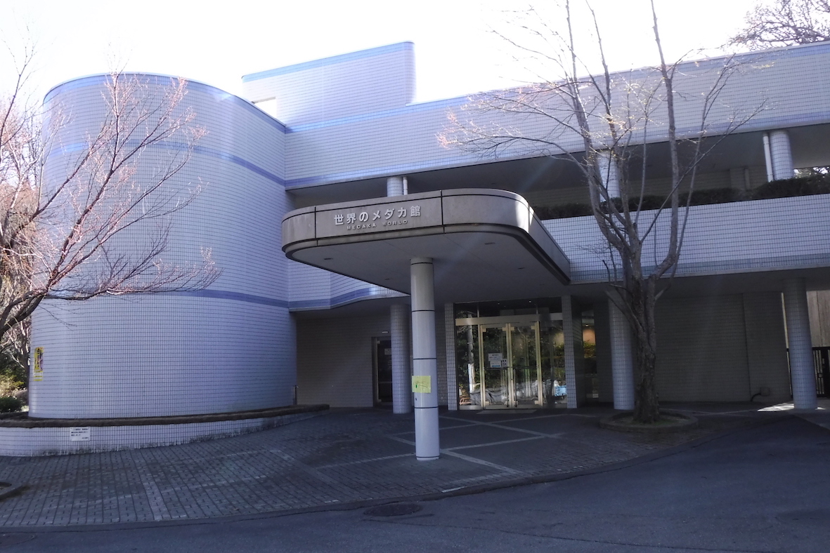 World’s Medaka Aquarium Outside