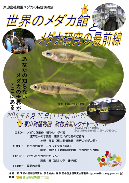 スケジュール ページ1